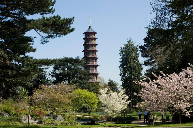 Kew Gardens Entrance Ticket - What the Kew Gardens ticket actually gives you