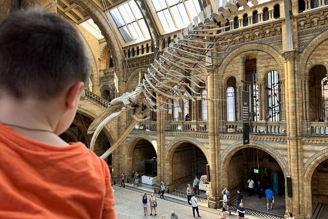 Kid-Friendly Natural History Museum & Dinosaurs Private Guided Tour in London - Hintze Hall and the blue whale skeleton