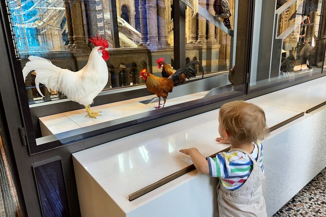 Kid-Friendly Natural History Museum & Dinosaurs Private Guided Tour in London - Which families will get the most from it