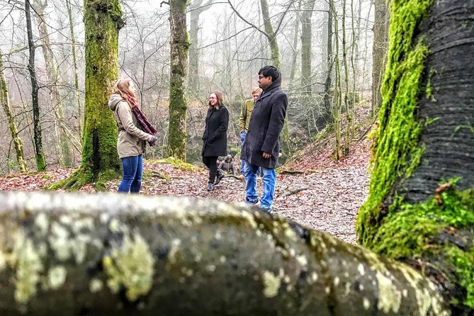 Lake District Adventure Sightseeing Day Trip from Liverpool - What the guides add to the day