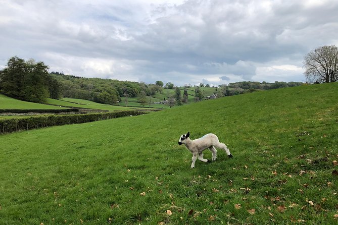 Lake District from Liverpool including Lake Cruise - Hawkshead, Wordsworth, and Beatrix Potter
