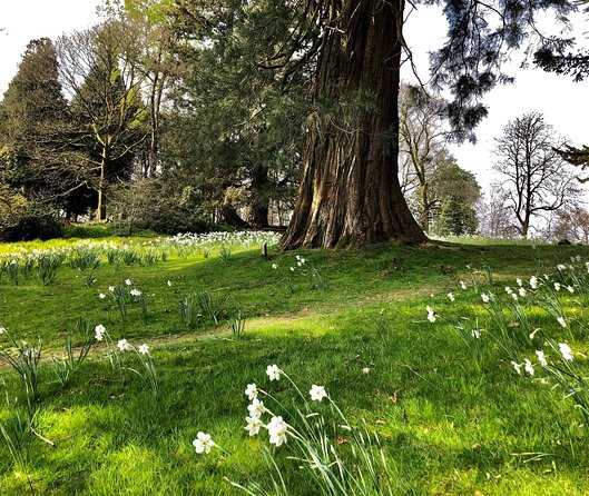 Lake District from Liverpool including Lake Cruise - Weather, route changes, and the value of a good guide