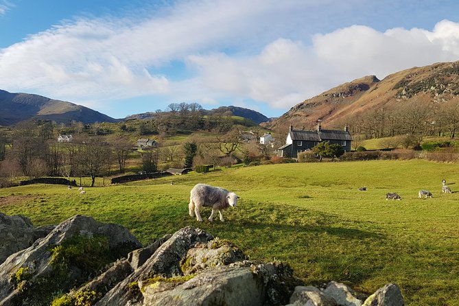 Lake District from Manchester Including Lake Cruise - The guide can make or break a packed day