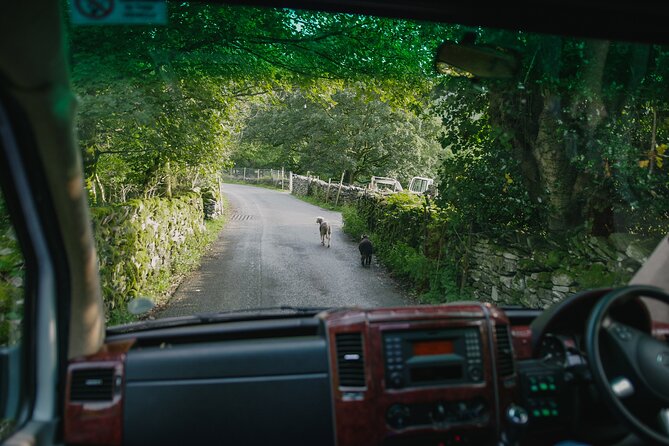 Lake District from Manchester Including Lake Cruise - What the $80.48 price gives you