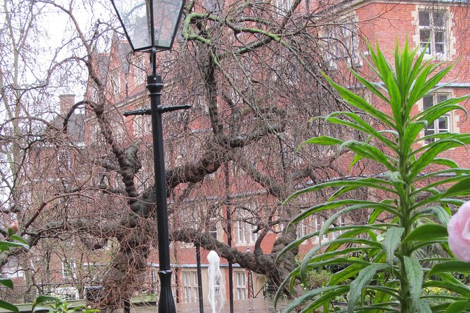 Law in London Private Tour - What the private format adds
