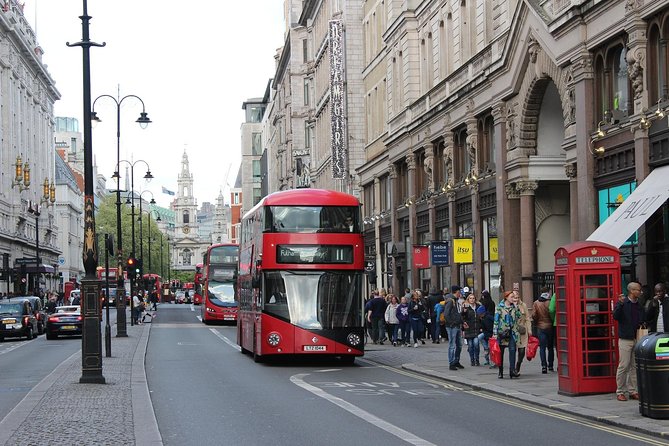 Layover Tour of London from LHR Executive Luxurious Vehicle Private Tour 6 hour - Buckingham Palace in a 20-minute stop