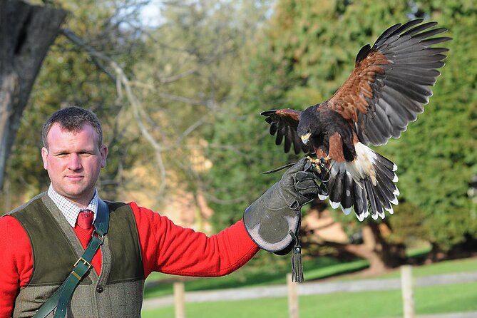 Leeds Castle Admission - Ultimate Explorer Tickets - Gardens, ponds, bridges, and picnic lawns
