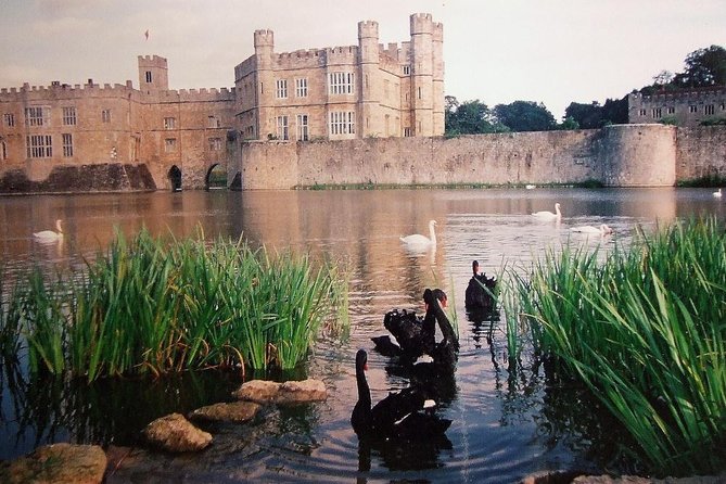 Leeds Castle, Canterbury and White Cliffs of Dover - Driver Guide - Canterbury Cathedral: the day’s strongest historical stop