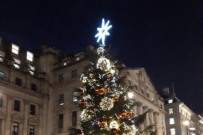 London Bespoke Black Cab Christmas Lights & Sights Private Tour - Harrods: a short stop with a big visual payoff