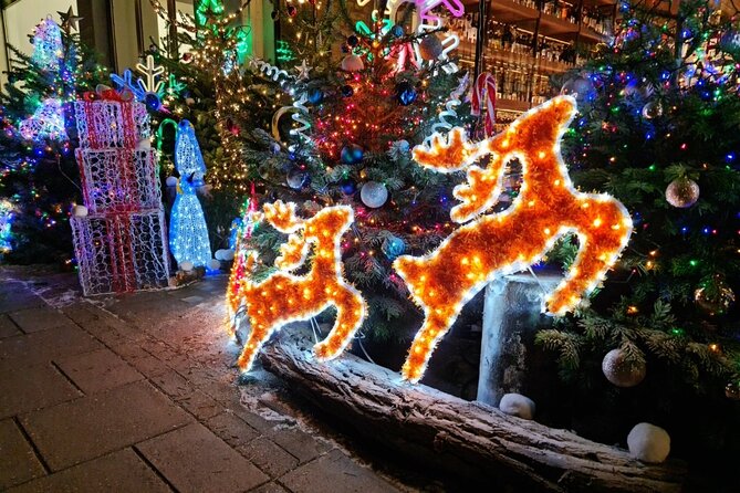 London Christmas Lights Bike Tour with Local Guide - Carnaby Street and Regent Street after dark