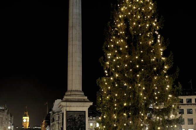 London Christmas Lights Private Tour by Traditional Black Cab - Chelsea, Belgravia, and Kensington after dark