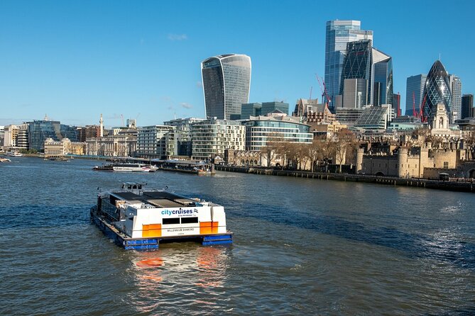 London: Harry Potter Walk, Hop-on Hop-off Bus Tour and Cruise - How to use the bus without wasting the day