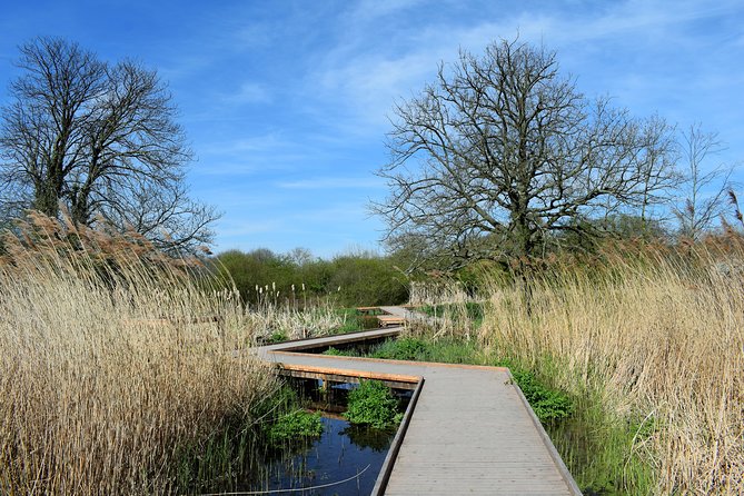 London's Best Kept Secret Bike Tour - What the bicycles and pace are like