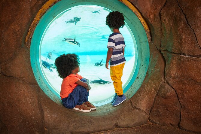 London Zoo Entry Ticket - Food, rest, and the practical family rhythm