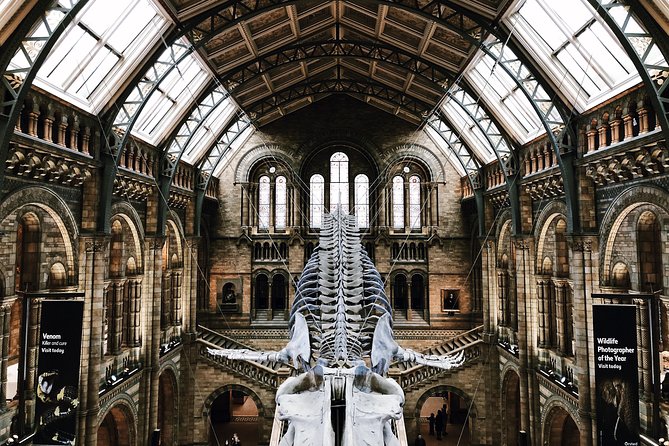 Natural History Museum London - Exclusive Guided Museum Tour - Entering London’s cathedral of natural history