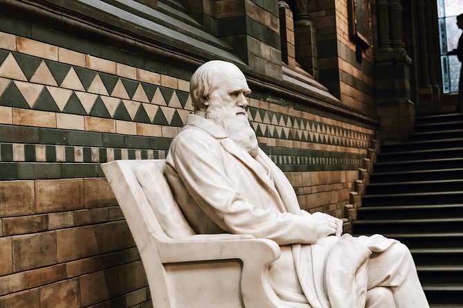 Natural History Museum London - Exclusive Guided Museum Tour - Fossils, volcanoes, and the age of Earth