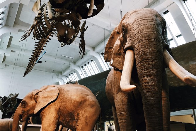 Natural History Museum London - Exclusive Guided Museum Tour - Pompeii casts and uncomfortable human stories