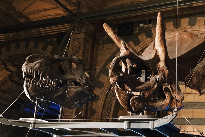 Natural History Museum London - Exclusive Guided Museum Tour - Architecture, quiet rooms, and the vault