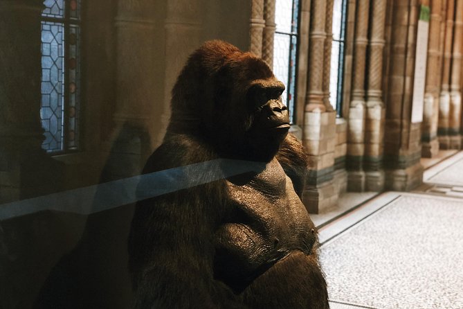 Natural History Museum London - Exclusive Guided Museum Tour - Private versus semi-private booking