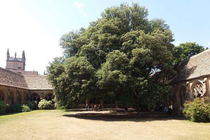 New College Oxford Harry Potter Insights PRIVATE TOUR Daily - Harry Potter facts without losing Oxford