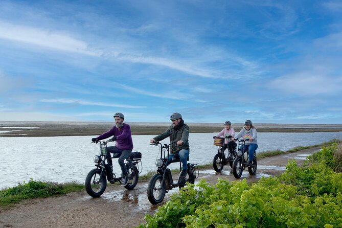 New Forest E-Bike Adventure - Key points at a glance