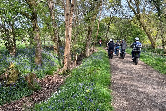 New Forest E-Bike Adventure - How the five assist levels change the ride