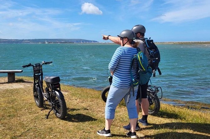 New Forest E-Bike Adventure - Wildlife along the way