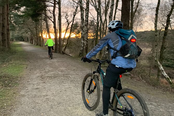 New Forest Sunset Bike Rides - Why a sunset ride changes the New Forest