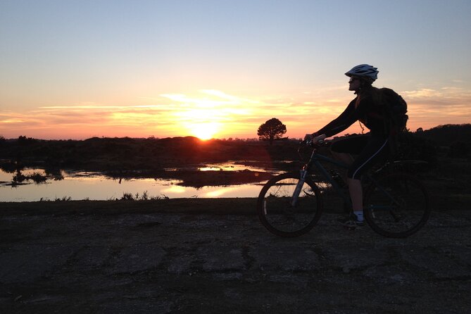 New Forest Sunset Bike Rides - What the first part of the ride feels like