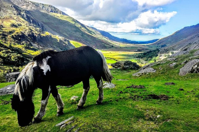 North Wales Adventure Sightseeing Day Trip from Liverpool - Llandudno: a quick look at the Welsh coast