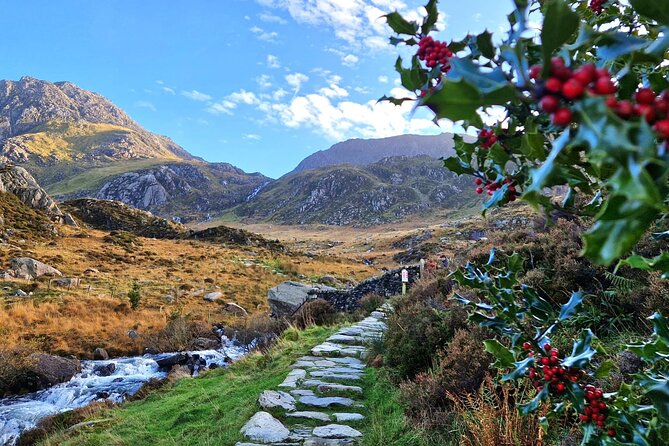North Wales & Caernarfon Castle Full-Day Tour from Manchester - Betws-y-Coed: an hour in a classic Welsh village