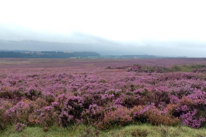 North York Moors and Whitby Day Tour from York - Setting out from York at 9:00 a.m.
