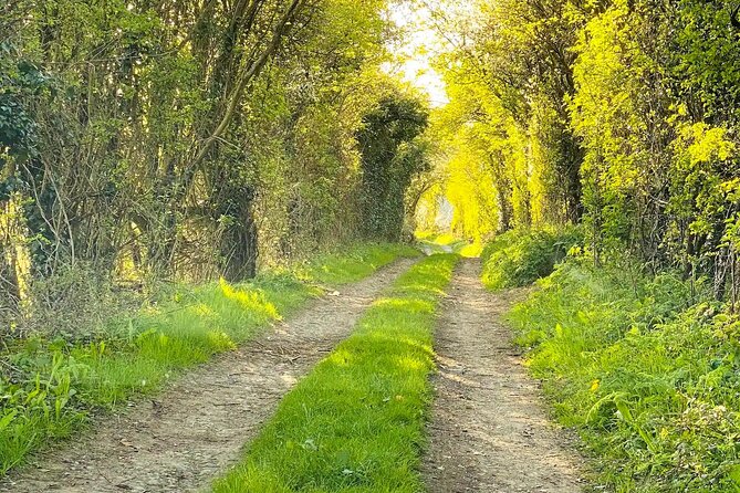 One Day Tour from London to The Cotswolds - Who should book this Cotswolds outing