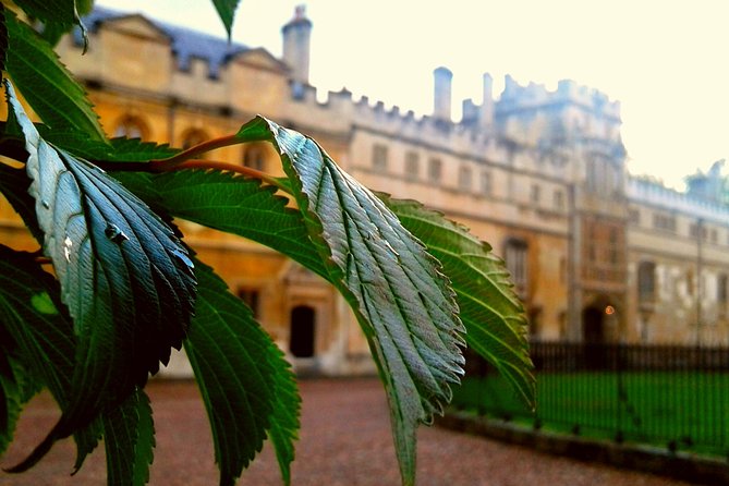 Oxford PRIVATE Pub and City Evening Walking Tour - Who will enjoy this Oxford evening most?