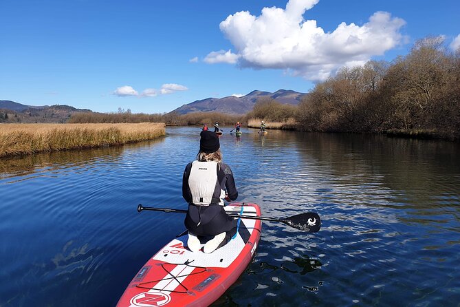 Paddle Boarding on Derwent Water - Who will enjoy this most