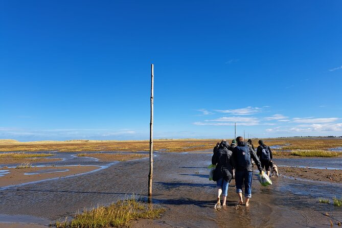 Pilgrims' Path walk across the sands to Holy Island - Why the walk to Holy Island feels different