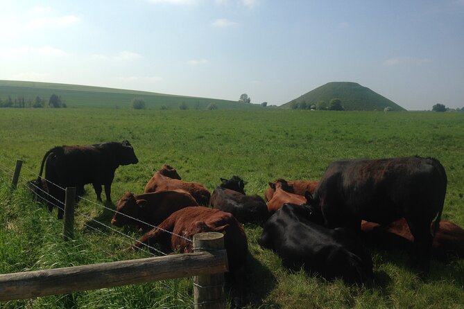 Private Archaeologist Guided Tour Stonehenge, Salisbury & Avebury - West Kennet Long Barrow: the most atmospheric visit