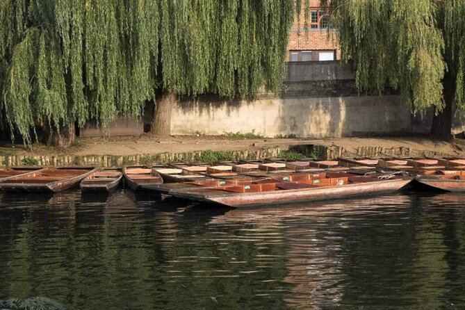 Private Cambridge Punting Tour - The college backs, almost one mile of views