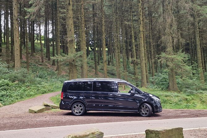 Private Chauffeur-London Heathrow from/to Southampton Cruise Port - Heathrow arrival: what happens after landing