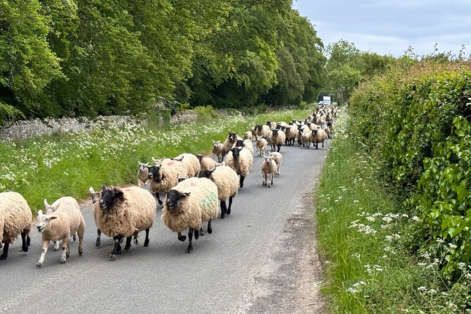 Private Day Tour from Bath to the Captivating Cotswolds - Gardens and the seasonal change