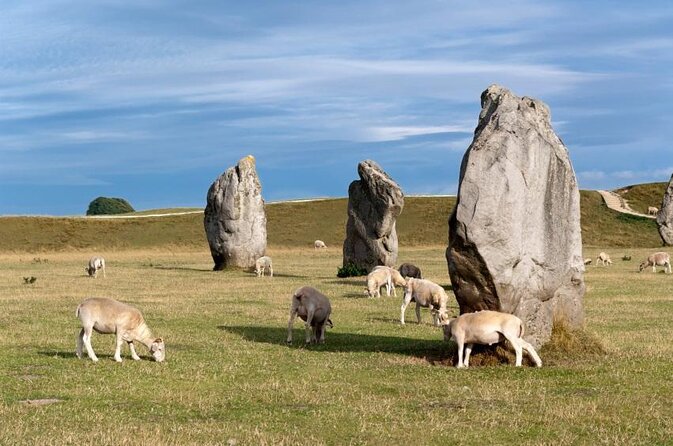 Private Day Tour to Bath, Avebury & The Cotswolds - At a glance: what makes this private tour useful