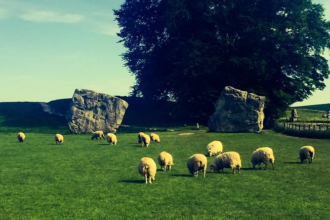 Private Day Tour to Bath, Avebury & The Cotswolds - Bath: Roman remains and grand Georgian streets