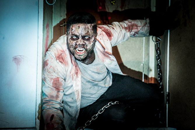 Private Escape Room with a Zombie in London - Why a private group of eight works well
