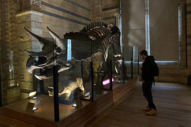 Private Guided Tour of Natural History Museum - Skip the Line - Why a private museum tour can make sense