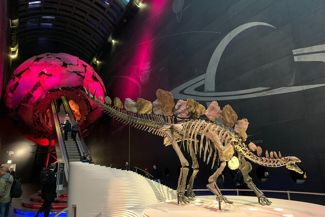 Private Guided Tour of Natural History Museum - Skip the Line - Starting with dinosaurs and the museum’s biggest sights