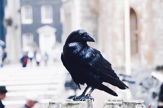 Private Tour London Highlights, entries Westminster Abbey, The Tower of London - St. James’s Park: a welcome pause