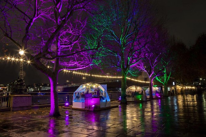 Private Tour: Night Photography Tour in London - Golden Jubilee Bridges and the elevated view
