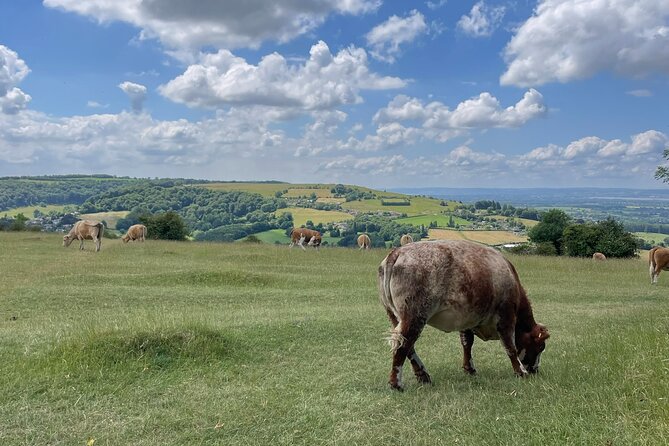 Private tour of the stunning Cotswolds with an expert local guide - What the $272.84 price buys you