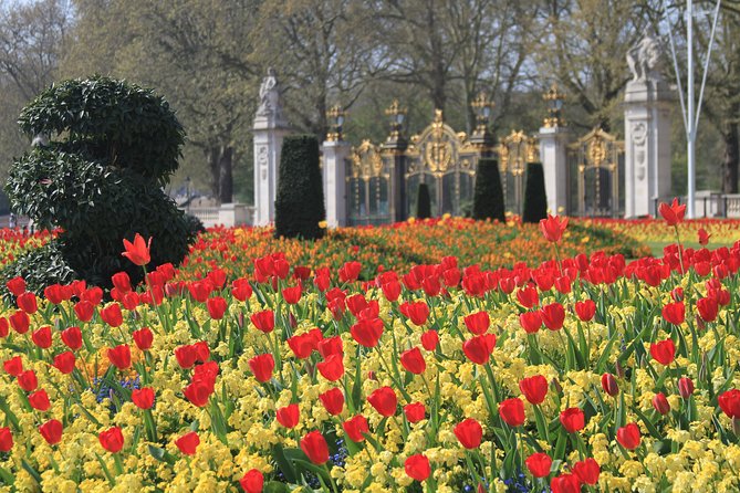 Private Walking tour London, Buckingham Palace to Big Ben and much more - A quiet pause in St. James’s Park