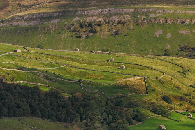Private Yorkshire Dales from Windermere in a 16 seater Mercedes - Ribblehead Viaduct and the drama of stone and rail